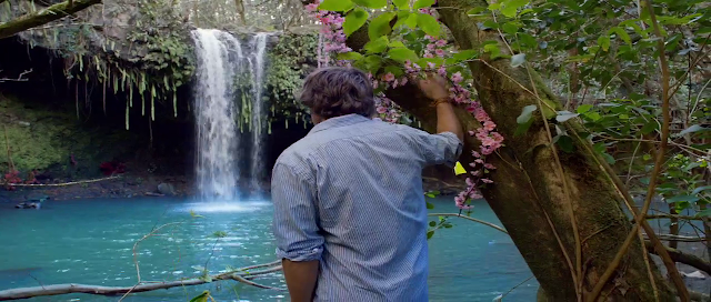 Splited 200mb Resumable Download Link For Movie Blue Lagoon The Awakening 2012 Download And Watch Online For Free