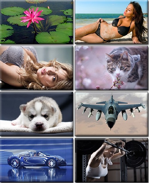 Computer Desktop Wallpapers Collection Part 1279