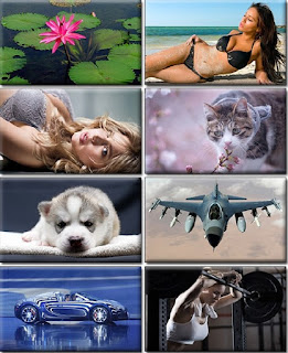 Computer Desktop Wallpapers Collection Part 1279