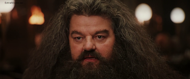 Harry Potter and the Sorcerer's Stone 2001 full movie download in hindi hd free