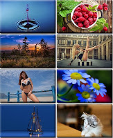 Computer Desktop Wallpapers Collection Part 1281