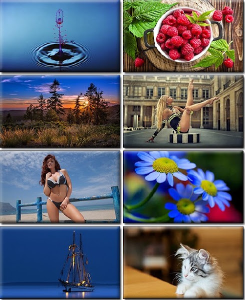 Poster of Computer Desktop Wallpapers Collection Part 1281