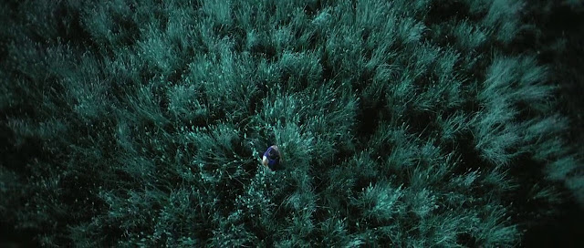 Dragon Tiger Gate 2006 Full Movie Free Download And Watch Online In HD brrip bluray dvdrip 300mb 700mb 1gb Dragon Tiger Gate 2006 Full Movie Free Download And Watch Online In HD brrip bluray dvdrip 300mb 700mb 1gb