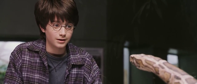 Single Resumable Download Link For Movie Harry Potter And The Sorcerer's Stone 2001 Download And Watch Online For Free