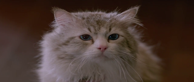 Nine Lives 2016 Full Movie Free Download And Watch Online In HD brrip bluray dvdrip 300mb 700mb 1gb
