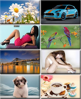 Computer Desktop Wallpapers Collection Part 1276