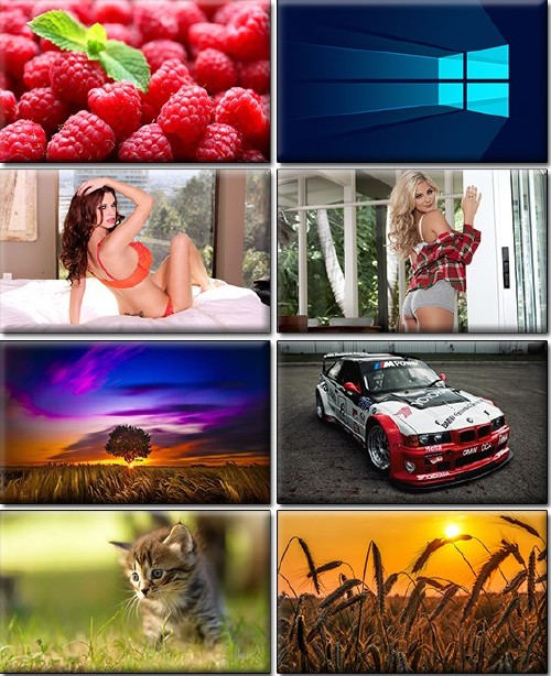 Computer Desktop Wallpapers Collection Part 1274