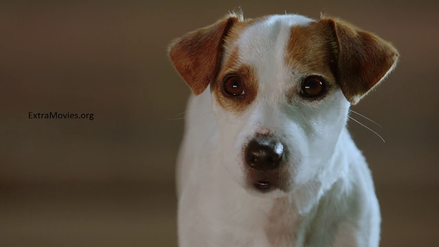 Russell Madness 2015 dual audio download