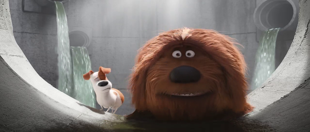 The Secret Life of Pets 2016 Full Movie 300MB 700MB BRRip BluRay DVDrip DVDScr HDRip AVI MKV MP4 3GP Free Download pc movies