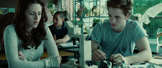 Download Twilight 2008