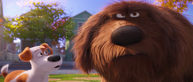 The Secret Life of Pets 2016 Full Movie Free Download And Watch Online In HD brrip bluray dvdrip 300mb 700mb 1gb The Secret Life of Pets 2016 Full Movie Free Download And Watch Online In HD brrip bluray dvdrip 300mb 700mb 1gb