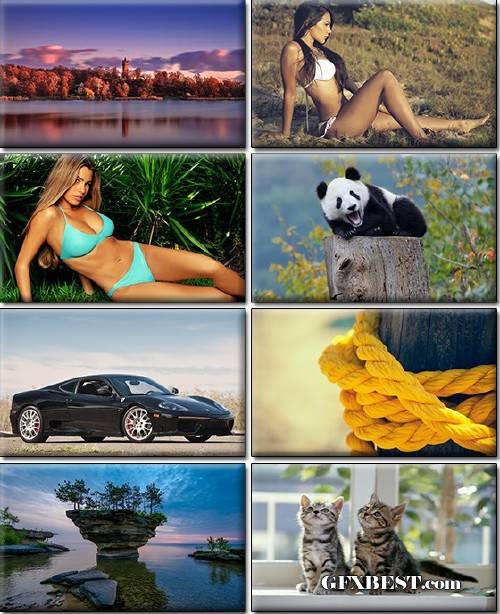 Computer Desktop Wallpapers Collection Part 1289