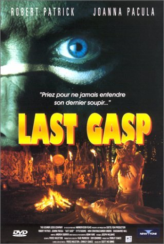 Poster of (18+) Last Gasp 1995 UnRated 480p HDRip Hindi Dubbed Dual Audio
