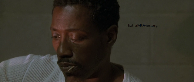 Undisputed bluray 720p download full movie