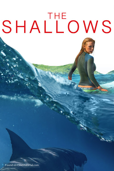 Poster of The Shallows 2016 Hindi 720p BRRip Dual Audio Full Movie Download