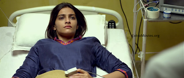 Raanjhanaa 2013 mobile movie 300mb mkv download