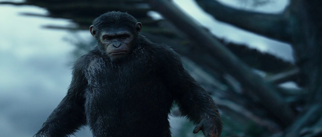 Dawn of the Planet of the Apes 2014 mobile movie 300mb mkv download