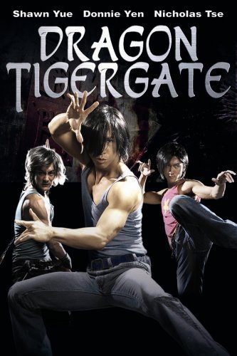 Poster of Dragon Tiger Gate 2006 720p Hindi BRRip Dual Audio Full Movie Download