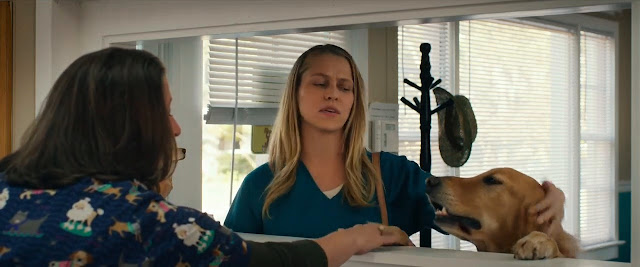 Single Resumable Download Link For Movie The Choice 2016 Download And Watch Online For Free