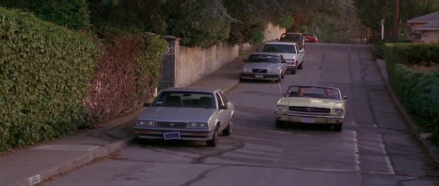 Poison Ivy 2 Lily 1996 Full Movie Free Download And Watch Online In HD brrip bluray dvdrip 300mb 700mb 1gb