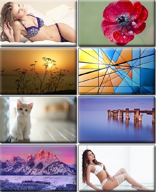 Computer Desktop Wallpapers Collection Part 1285