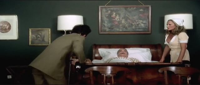 Splited 200mb Resumable Download Link For Movie The Sensuous Nurse 1975 Download And Watch Online For Free