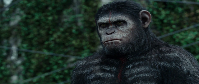 Dawn of the Planet of the Apes 2014 download hd 720p bluray