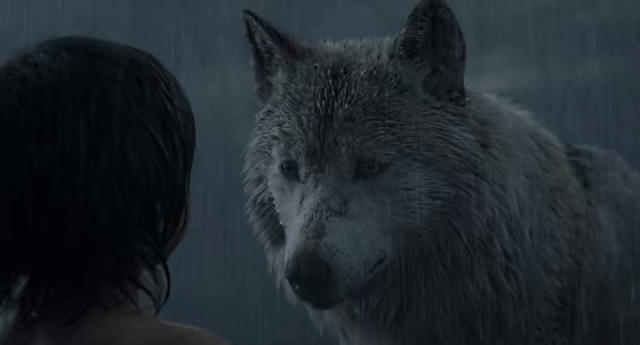 The Jungle Book 2016 Full Movie 300MB 700MB BRRip BluRay DVDrip DVDScr HDRip AVI MKV MP4 3GP Free Download pc movies