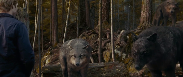 Splited 200mb Resumable Download Link For Movie The Twilight Saga Eclipse 2010 Download And Watch Online For Free