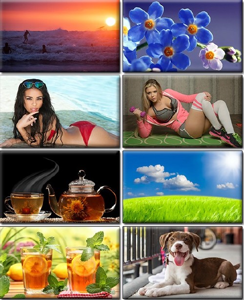 Computer Desktop Wallpapers Collection Part 1272