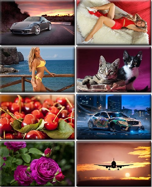 Computer Desktop Wallpapers Collection Part 1273