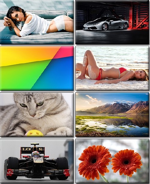 Computer Desktop Wallpapers Collection Part 1290