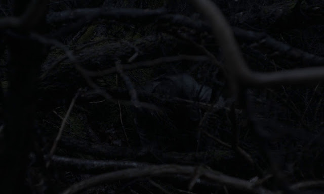 Splited 200mb Resumable Download Link For Movie The Witch 2015 Download And Watch Online For Free