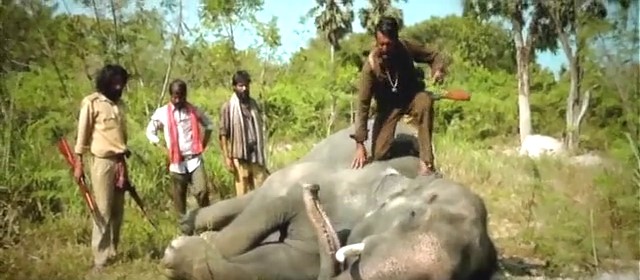 Single Resumable Download Link For Movie Veerappan 2016 Download And Watch Online For Free