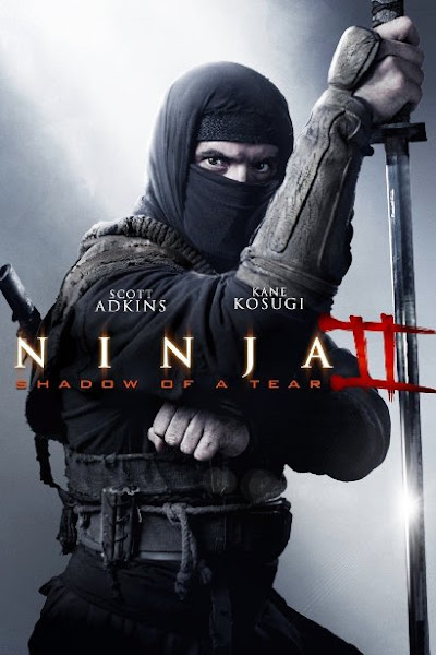 Poster of Ninja Shadow of a Tear 2013 720p BRRip Dual Audio