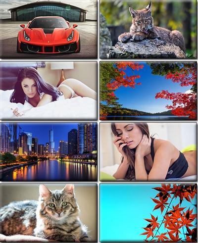 Computer Desktop Wallpapers Collection Part 1270